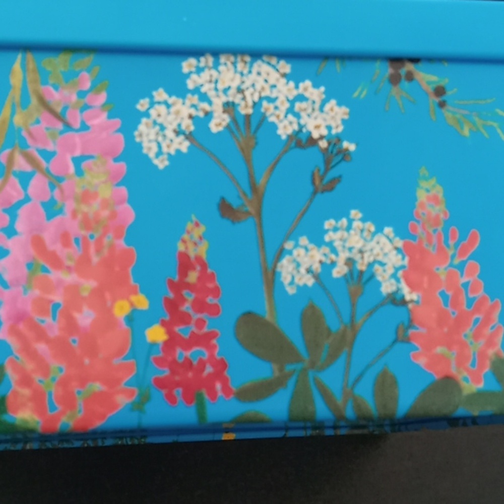 Meet your Posher, Kat